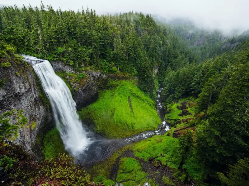 A waterfall dropping into a mossy green gorge surrounded by pine forest