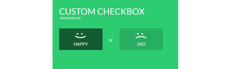 Custom CSS Checkbox