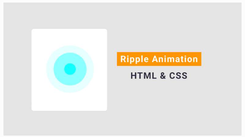 40 CSS Ripple Effect Showcase Examples
